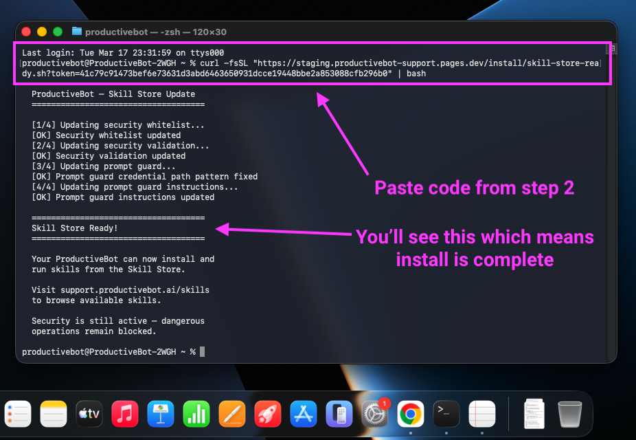 Skill Store Ready terminal output